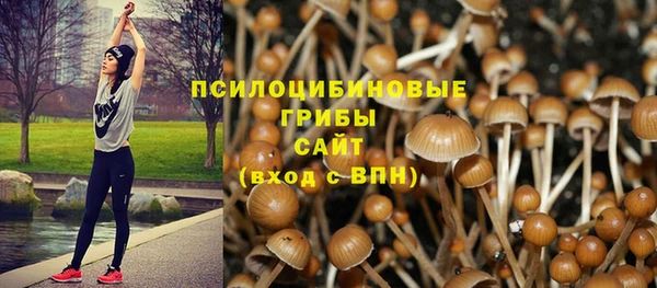 бутират Аркадак